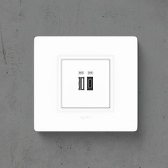 Legrand Allzy USB sockets